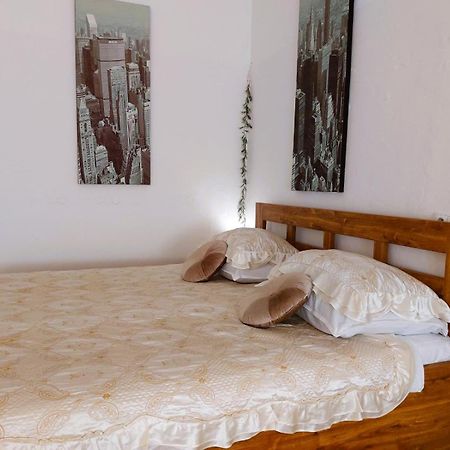 Exkluzivni Apartman V Prizemi V Hradci Kralove Hradec Králové エクステリア 写真