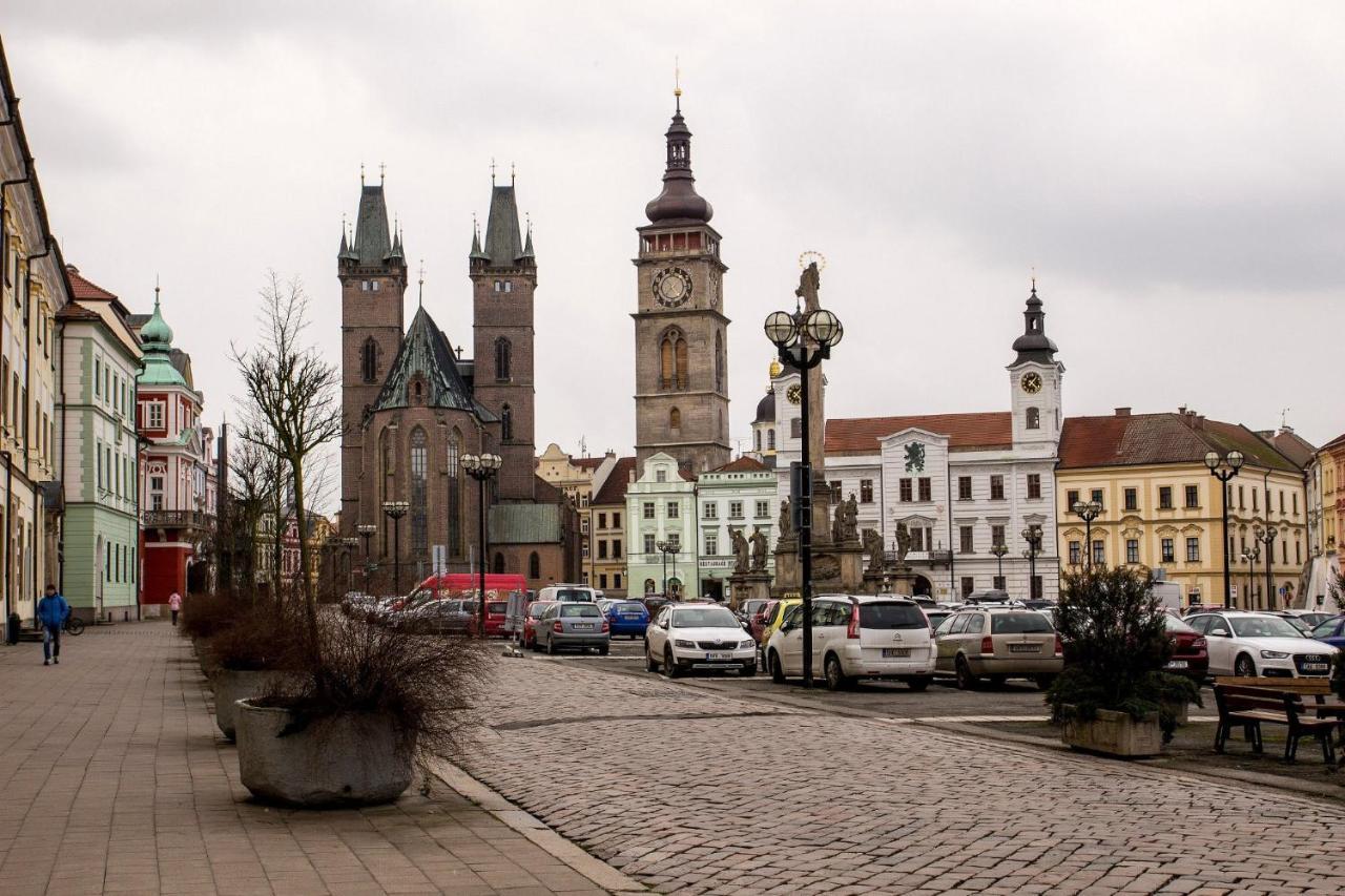 Exkluzivni Apartman V Prizemi V Hradci Kralove Hradec Králové エクステリア 写真