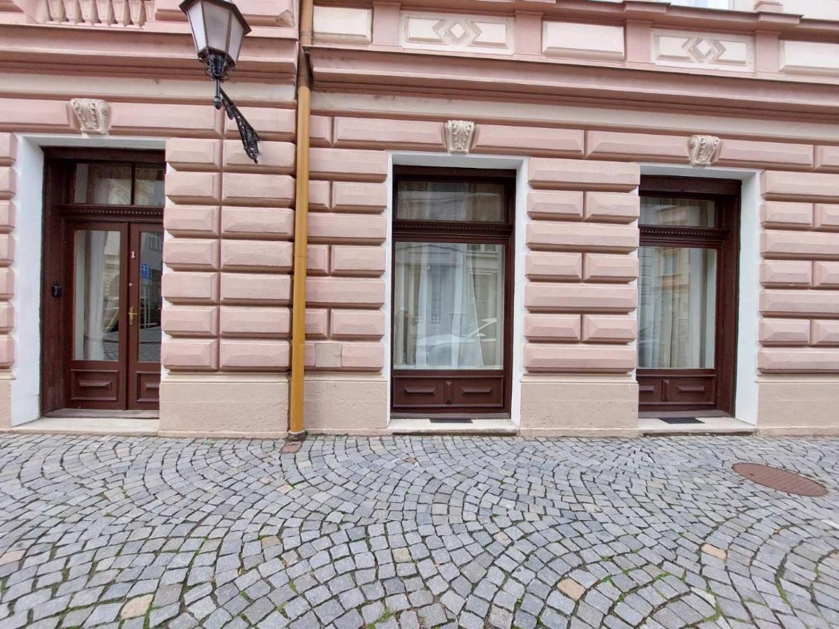Exkluzivni Apartman V Prizemi V Hradci Kralove Hradec Králové エクステリア 写真