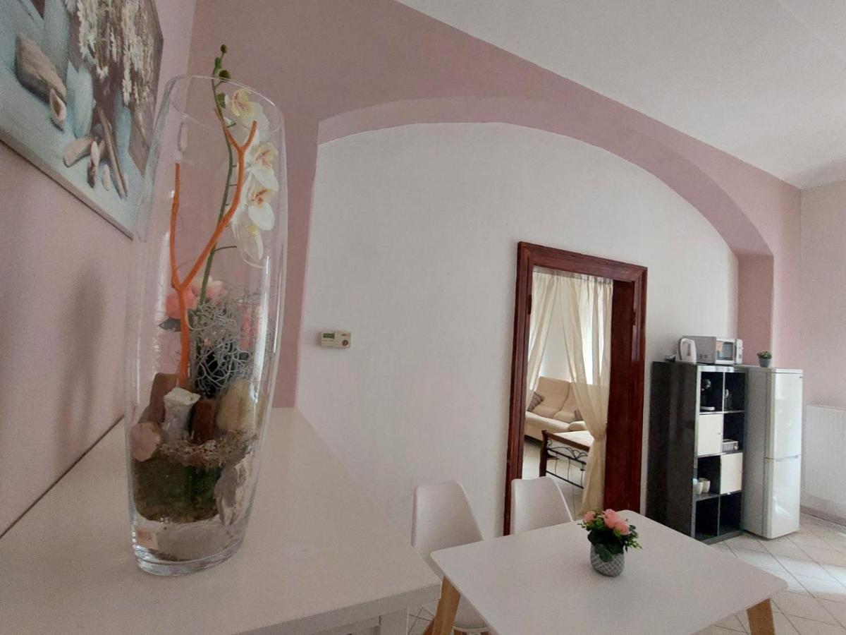 Exkluzivni Apartman V Prizemi V Hradci Kralove Hradec Králové エクステリア 写真