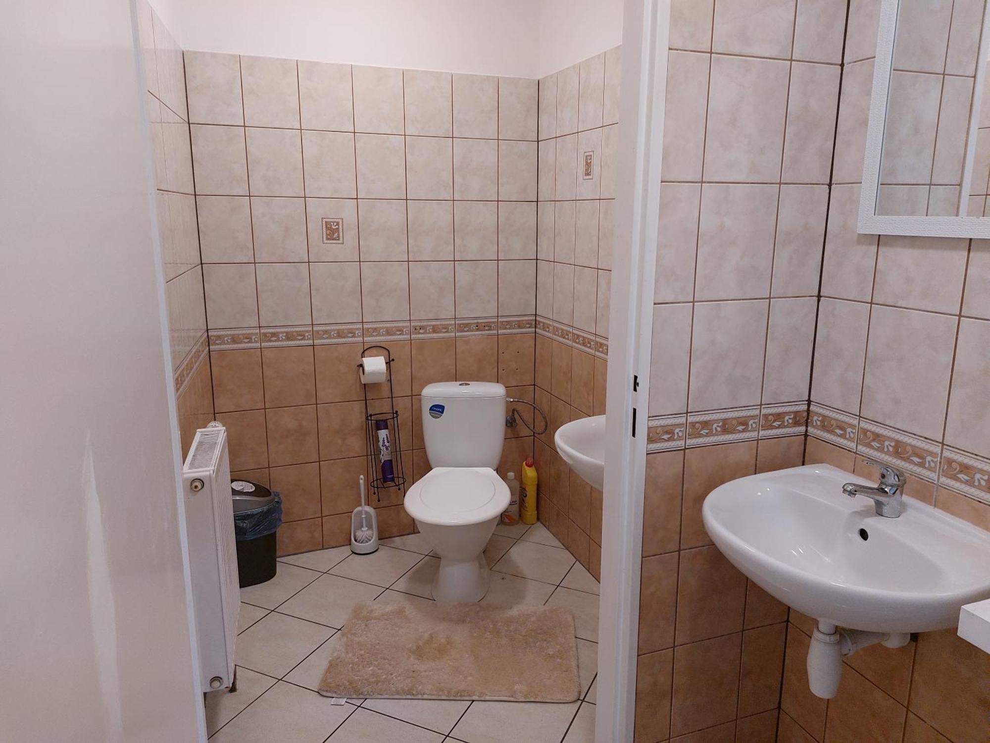 Exkluzivni Apartman V Prizemi V Hradci Kralove Hradec Králové エクステリア 写真