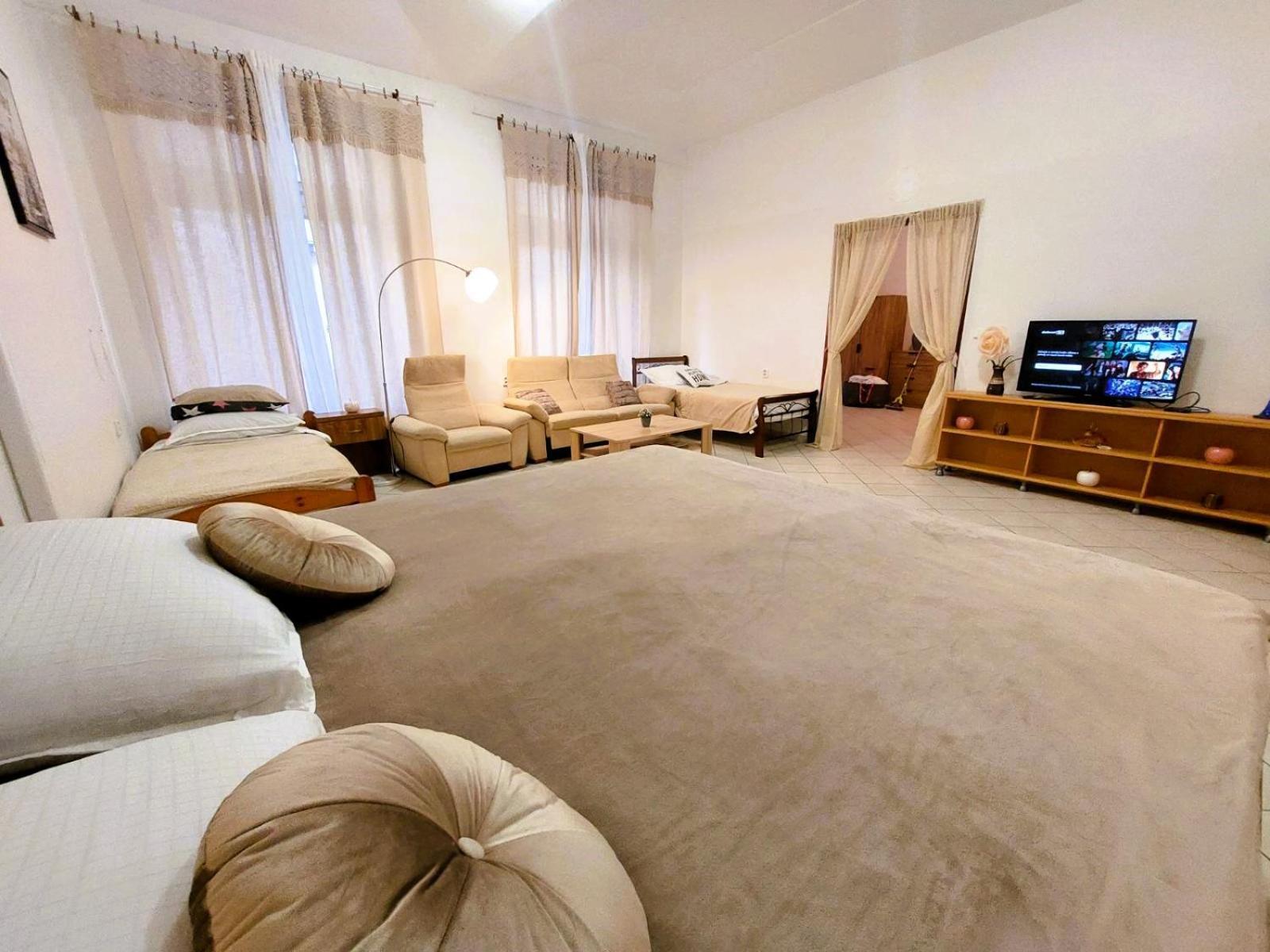 Exkluzivni Apartman V Prizemi V Hradci Kralove Hradec Králové エクステリア 写真